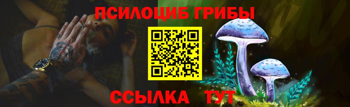 Псилоцибиновые грибы Psilocybine cubensis  Галлюциногенные грибы Psilocybine cubensis  Усть-Джегута  Вход с VPN 